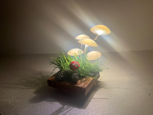 Hand made magic mushrooms lamp